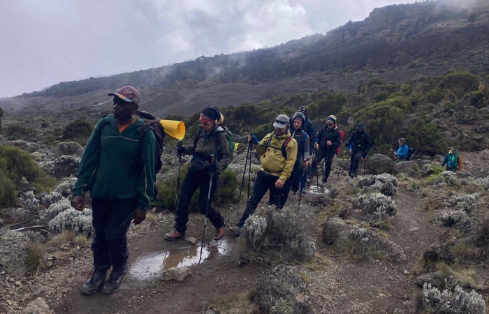  Kilimanjaro Hiking guide and guides