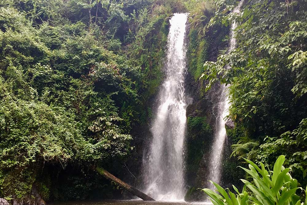 Trails of kilimanjaro